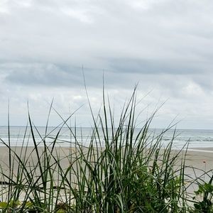 Meet your Posher, Jeanette